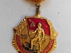 Нагрудный знак к юбилею Победы